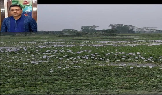 মিথ্যা মামলায় জর্জরিত নিকলীর যুবক আরফান