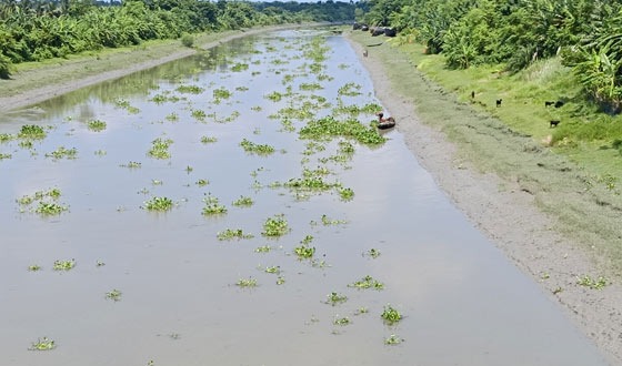 ক্ষতিপূরণ না পেয়ে দিশেহারা তালার পাখিমারা টিআরএম বিলের জমির মালিকরা