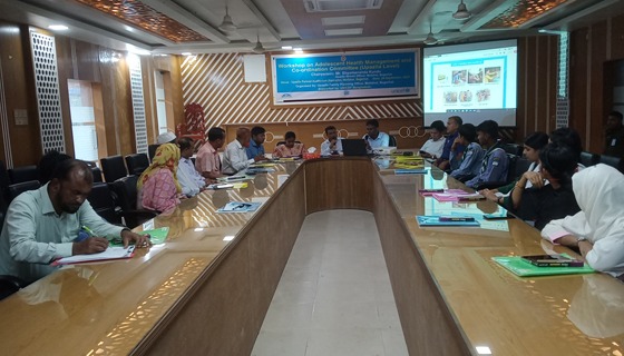 মোল্লাহাটে কিশোর-কিশোরী স্বাস্থ্য ব্যবস্থাপনা ও সমন্বয় কমিটি বিষয়ক কর্মশালা