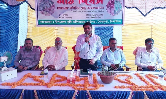 শৈলকুপায় কৃষকদের নিয়ে মাঠ দিবস