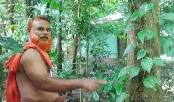 খুলনায় মেহগনি বাগানে চুইঝালে সফল চাষি আবু জাফর