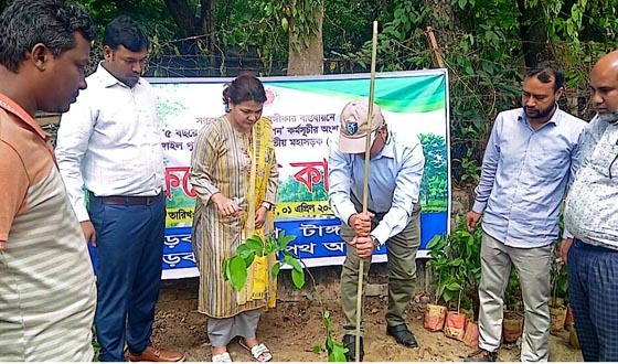 মহাসড়কের পাশে সোনালু জারুল নিম চারা রোপণ