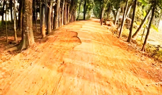 বাবুগঞ্জে সড়কের বেহাল দশা, দুর্ভোগে সাধারণ মানুষ