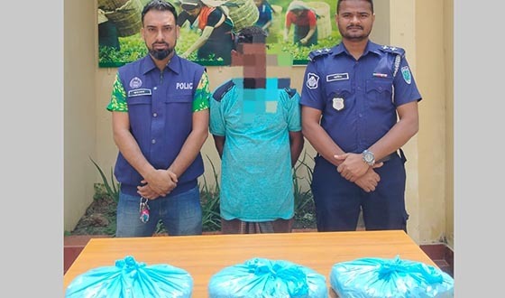 শ্রীমঙ্গলে ৩ কেজি গাঁজাসহ কারবারি আটক