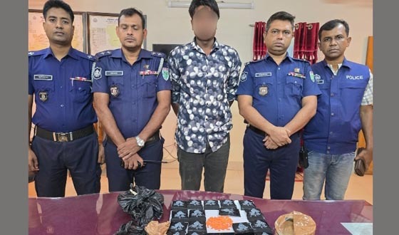 বড়লেখায় ইয়াবাসহ মাদক ব্যবসায়ী গ্রেফতার