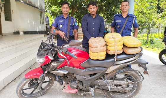 হোমনায় গাঁজাসহ যুবক গ্রেপ্তার, মোটরসাইকেল জব্দ