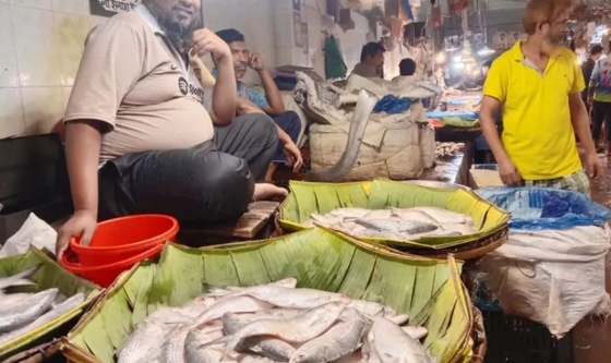 ইলিশের দাম আকাশছোঁয়া, কেজিতে বেড়েছে ৭০০ টাকা