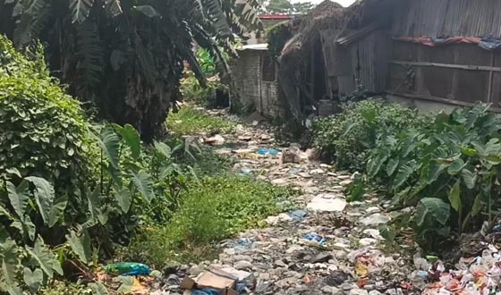 সেনবাগে খাল অবৈধ দখল ও দূষণে অস্তিত্ব বিলীন হওয়ার পথে