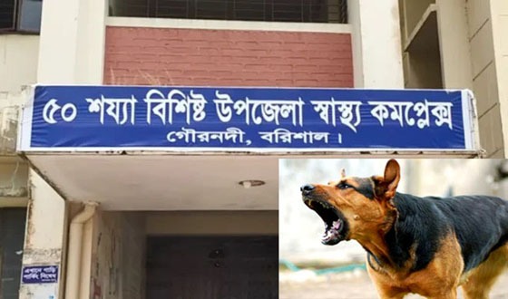 পাগলা কুকুরের কামরে ১৪ জন আহত