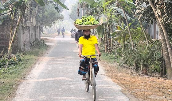 ঈশ্বরদীতে কলার ডালা মাথায় নিয়ে সাইকেল চালায় মাহাবুল