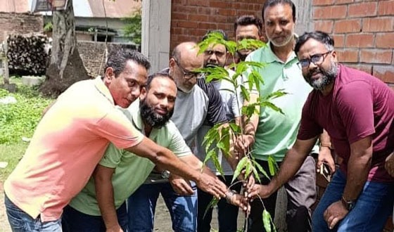 চাটমোহর স্পোর্টস একাডেমির বৃক্ষরোপন কর্মসূচি