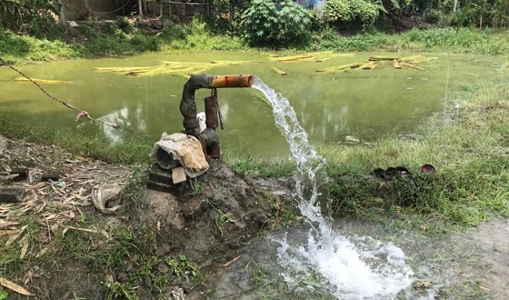 বাঘায় এক বিঘার পাট জাগ দিলে পুকুর মালিক পাচ্ছেন ২ হাজার