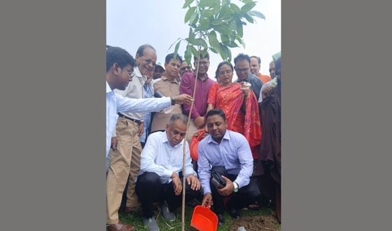 চাটমোহরে বিএমডিএ’র বৃক্ষরোপন কর্মসূচি উদ্বোধন