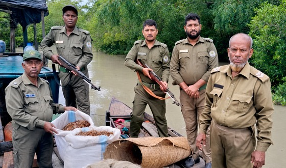 সুন্দরবনে বিষ দিয়ে মাছ শিকার, দুই রেঞ্জে তিন অভিযান