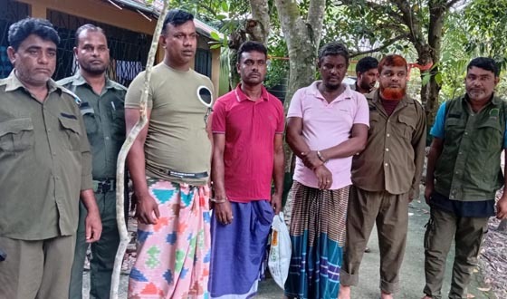 সুন্দরবনে নিষিদ্ধ সময়ে কাঁকড়া শিকার, ৩ জেলে কারাগারে