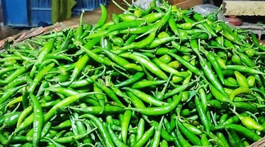 কাঁচা মরিচ আমদানি শুরু, কমতে পারে দাম
