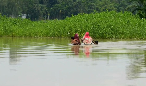 নাগেশ্বরীতে চাল বরাদ্দ থাকলেও ত্রাণ পায়নি বানভাসীরা