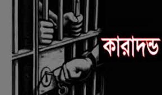বাজিতপুরে অবৈধভাবে বালি উত্তোলনের দায়ে ৭ জনকে কারাদন্ড