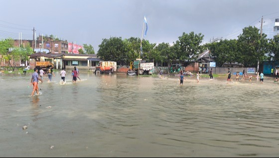 ভোরের বৃষ্টিতে ঈশ্বরদী পৌর এলাকার আমবাগান মাঠে এক হাটু পানি