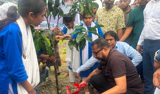 গৃহায়ন প্রতিমন্ত্রী সোহেল মনজুর নিজহাতে রোপন করলেন গাছের চারা