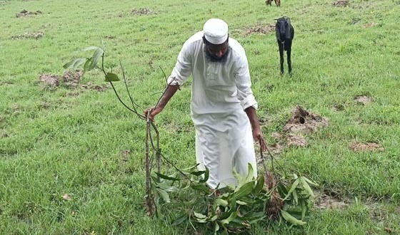 সাপাহারে জমি নিয়ে বিরোধে প্রাণনাশের হুমকির অভিযোগ