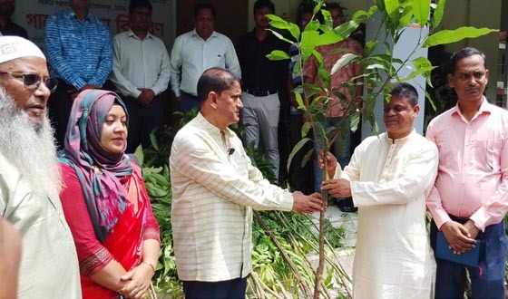 মান্দায় গাছের চারা, সিলিং ফ্যান ও নেবুলাইজার সলিউশন বিতরণ