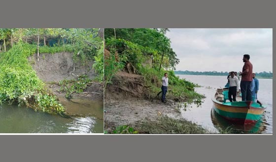 মতলবে নদী ভাঙ্গন কবলিত এলাকা পরিদর্শনে পাউবোর কর্মকর্তারা
