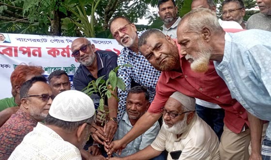 বাগেরহাট বিএনপির আয়োজনে বৃক্ষরোপণ কর্মসূচি পালিত