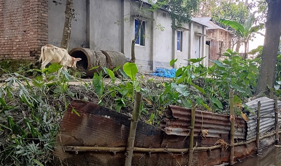 ইউনিয়নেই প্রায় কোটি টাকা হাওয়া কোথাও কাগজের সড়ক