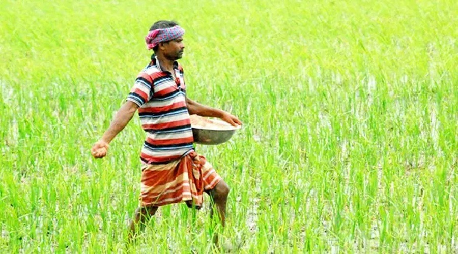 দেশে অসংক্রামক রোগের বিস্তার ঘটাচ্ছে কৃষিতে ব্যবহৃত উচ্চঝুঁকির বালাইনাশক