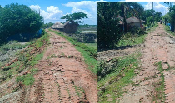 আশাশুনির রাউতাড়া-আমাদী খেয়াঘাট রাস্তার দুরাবস্থা, জনভোগান্তি