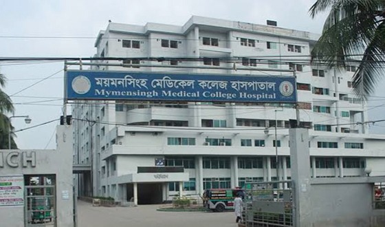 গফরগাঁওয়ে বিষধর সাপের কামড়ে মহিলার মৃত্যু