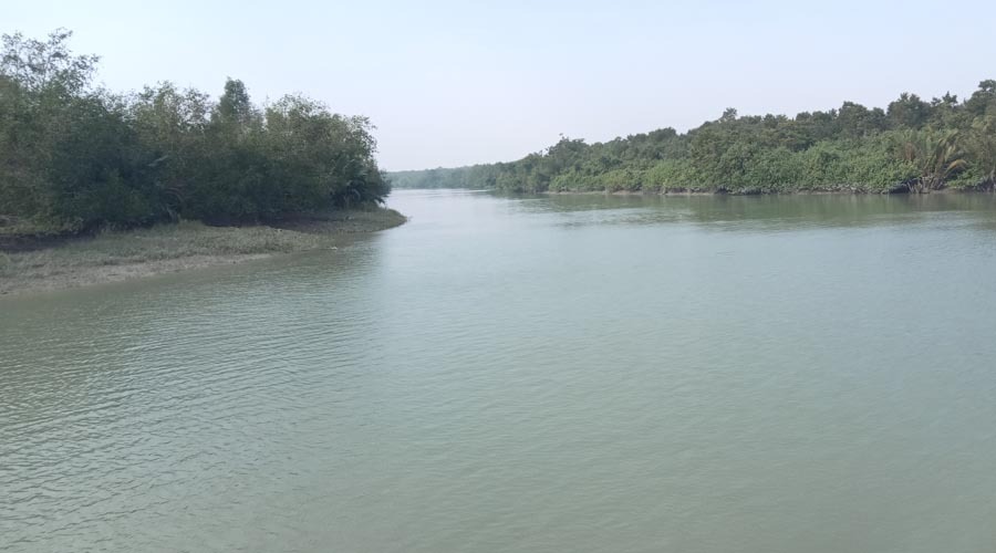 সুন্দরবনে আধুনিক ড্রোন ব্যবহার  ও নিবিড় টহলে কমেছে মাছ ধরা ও হরিন শিকার