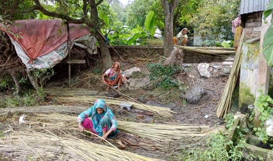 পাট আমাদের অর্থকরী ফসল