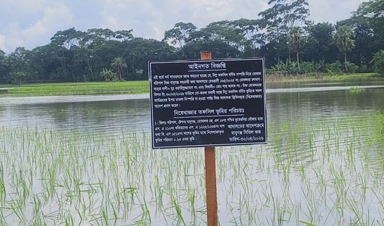 আদালতের আদেশ অমান্য করে জমিতে ধান রোপণের অভিযোগ