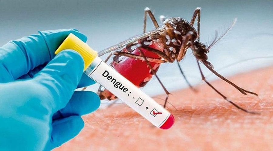 ডেঙ্গুতে আরও ৩ জনের মৃত্যু, হাসপাতালে ভর্তি ৮০৫