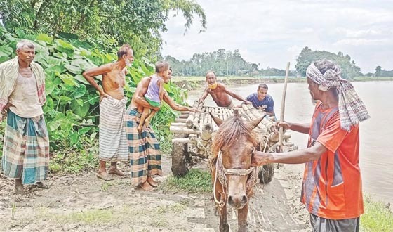 শেরপুরে মৃগী নদীর ভয়াবহ ভাঙনের কবলে চরমধুয়া গ্রাম