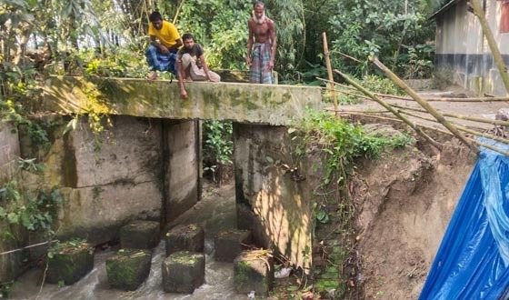 পাঁচবিবিতে ভাঙ্গা স্লুইসগেট মরণফাঁদ হুমকিতে বসতবাড়ি