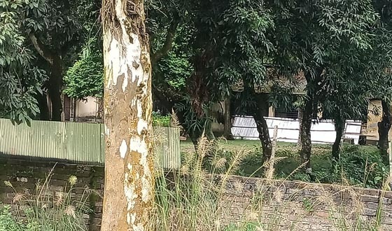 আটোয়ারীর পুরাতন কৃষি অফিসের জমি ঘিরে তোলপাড়