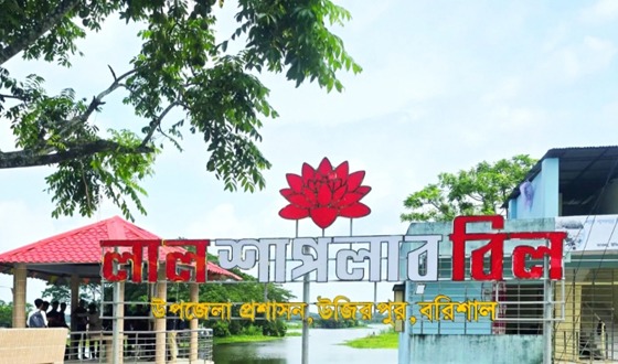 উজিরপুরের লাল শাপলার বিলকে আধুনিক পর্যটনকেন্দ্র হিসেবে গড়ে তোলার উদ্যোগ