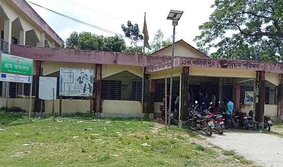মান্দায় চার বছর ধরে সম্মানীভাতা বঞ্চিত কালিকাপুরের ইউপি সদস্যরা
