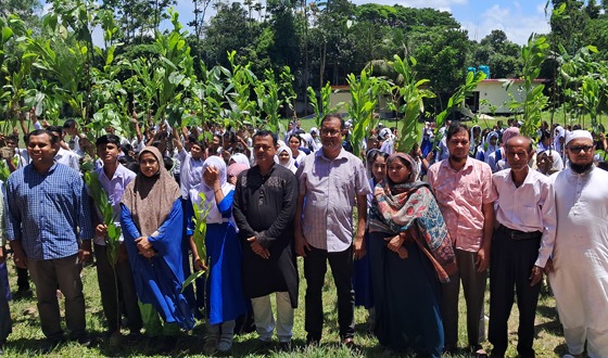 চাঁদপুরে শিক্ষার্থীদের মাঝে সাড়ে পাঁচ শতাধিক গাছের চারা বিতরণ
