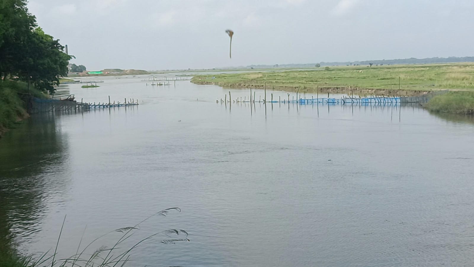 পোরশায় পুনর্ভবা নদীতে অবৈধ সুতি জালের মহোৎসব