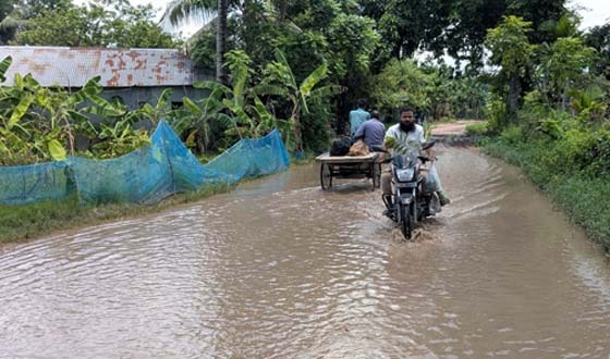 মৌখাড়া-আহম্মেদপুর সড়কের বেহাল দশা, দুর্ভোগ চরমে