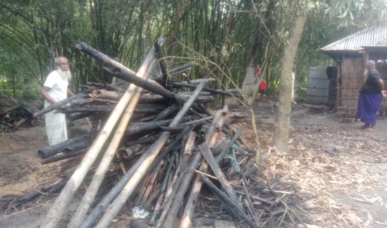 তারাগঞ্জে অগ্নিকাণ্ডে রান্নাঘর ও গোয়ালঘর পুড়ে ছাই
