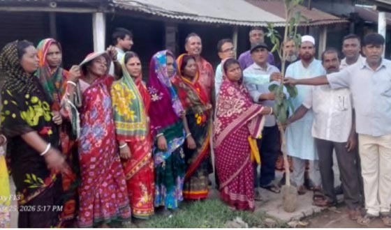 আশাশুনির বদরতলায় বৃক্ষরোপণ কর্মসূচি অনুষ্ঠিত