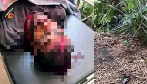 কাপাসিয়ায় চাচাতো ভাইয়ের দায়ের কোপে প্রাণ গেল নিলয় সরকারের