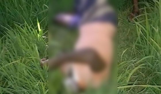 তানোরে ধান খেত থেকে এক কৃষকের লাশ উদ্ধার
