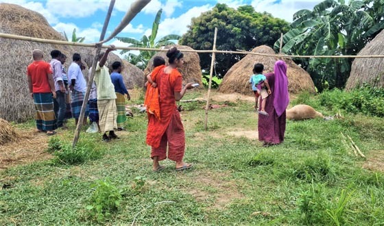 টাঙ্গাইলে মাংস বিক্রির উদ্দেশ্যে ১০ ঘোড়া জবাই