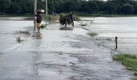 বাঘায় পদ্মার চরে পাকা রাস্তা ঝাপিয়ে লোকালয়ে ঢুকছে পানি